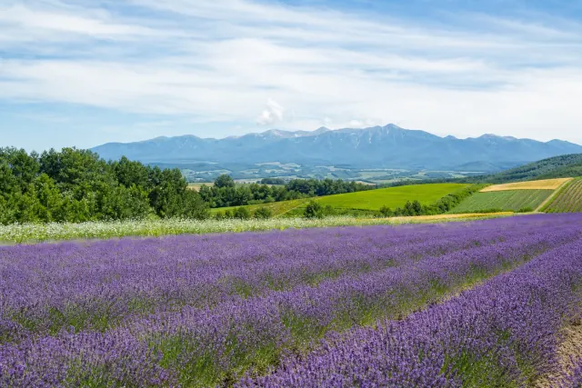 Hokkaido landscape representing the Kushiro excursion region